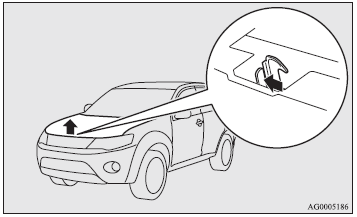 3. Support the bonnet by inserting the support bar in its slot.